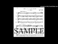 ドヴォルザーク「管楽セレナード〜第３楽章」フルート四重奏版（編曲：中島雅彦）