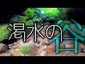 【渓流ルアー】谷底の枯れそうな川で釣りしてみた！