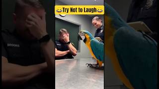 Talking Parrot Breaks the Cop 😂 | Officer Loses Control #parrottalking