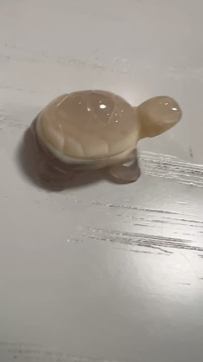 tortoise and turtle @agate #Kame no Yakata