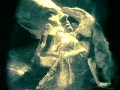 FiELDS of the NEPHiLiM ~ Psychonaut (music video)