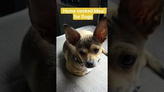 Home Cooked Meal to feed your puppy 4 meals. #puppy,#homecookedfood, #homecookedmealfordogs