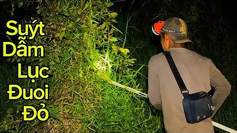 Đi Săn Rắn Gặp Cảnh Hết Hồn - Ông Chú Suýt Bị Lục Đuôi Đỏ Cắn Khi Khai Nước