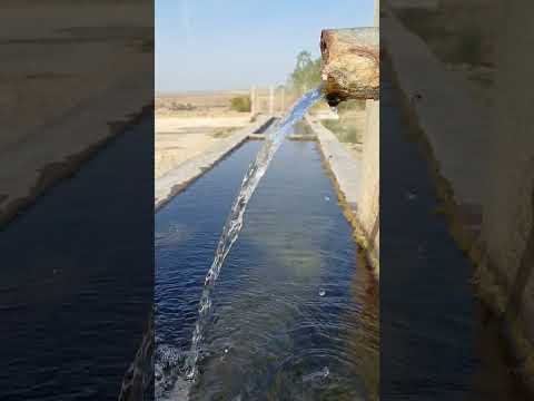 su akar yolunu