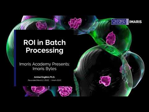 ROI in Batch Processing