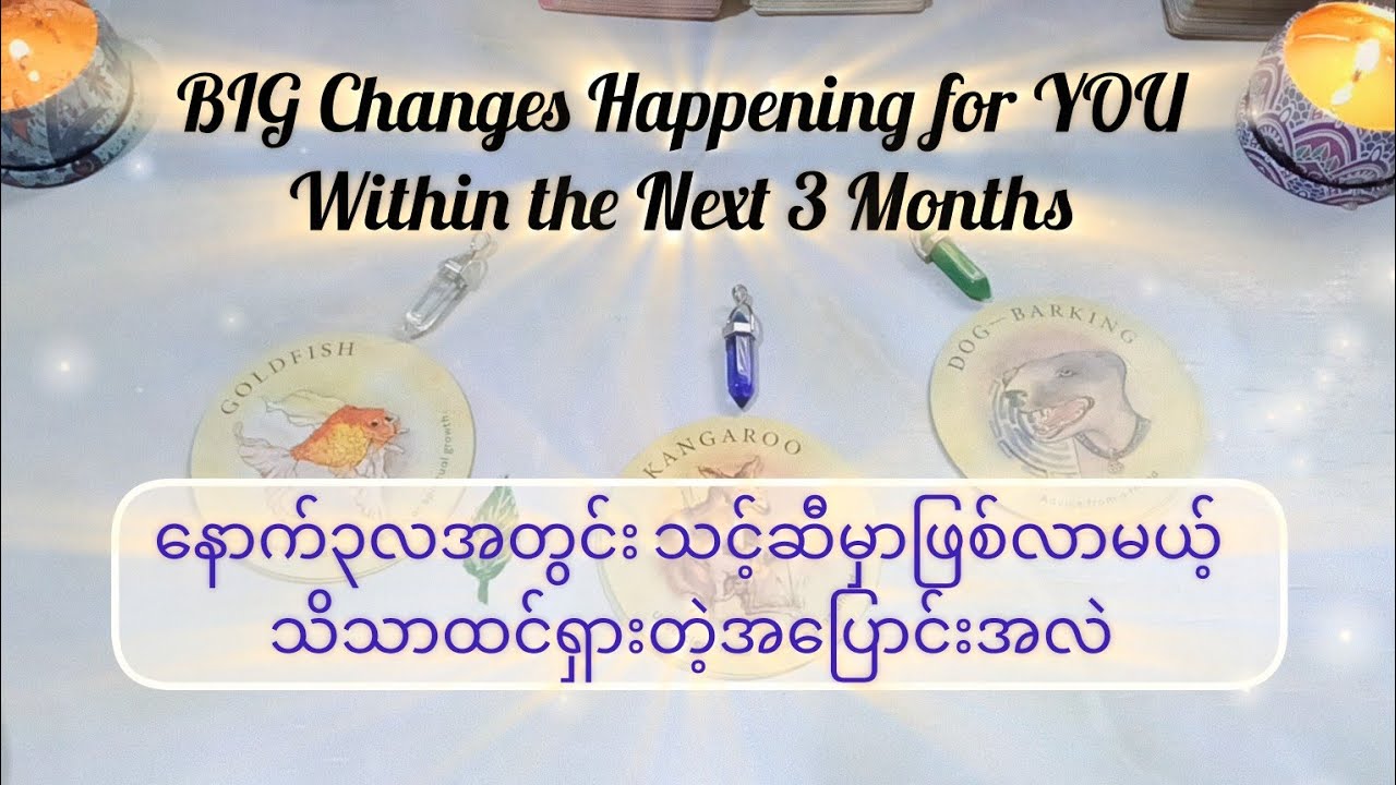 Pick A Pile Reading 🔮🦄💜🧿🦋✨🍀🩵🌿💐