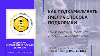 Как подкармливать пчел? 4 способа подкормки пчел (Университет г.Гвелф, Канада)