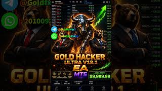 GOLD HACKER ULTRA V12.1 EA MT5 Automated Forex Robot FREE DOWNLOAD الاكسبرت الأكثر ربحا في الفوركس