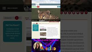Research with TexQuest