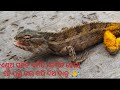 ଏଣ୍ଡୁଅ ସହିତ ଏମିତି କେମିତି ହେଲା 😱ହେ ପ୍ରଭୁ ଭଲ କରି ଦିଅ ତାକୁ 🙏