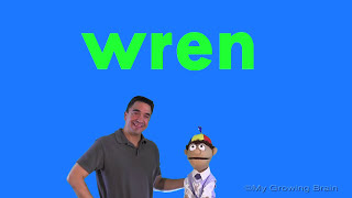 Spelling Patterns:  |"wr"| / My Growing Brain Wealth