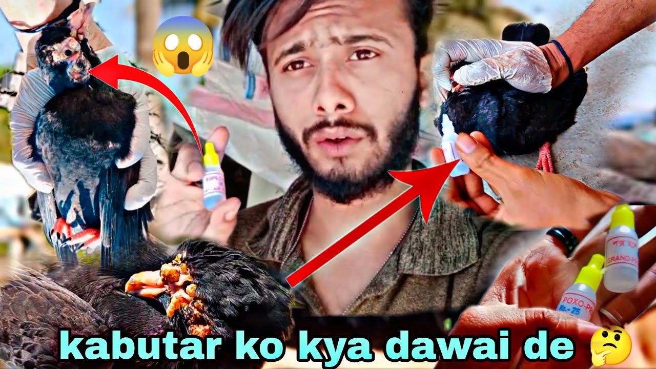 15 December 2015 Ko Kaun Si Tithi Thi 15 December 2015 Ko Kaun Si Tithi Thi