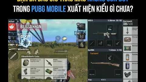 Con bot trong pubg là gì năm 2024