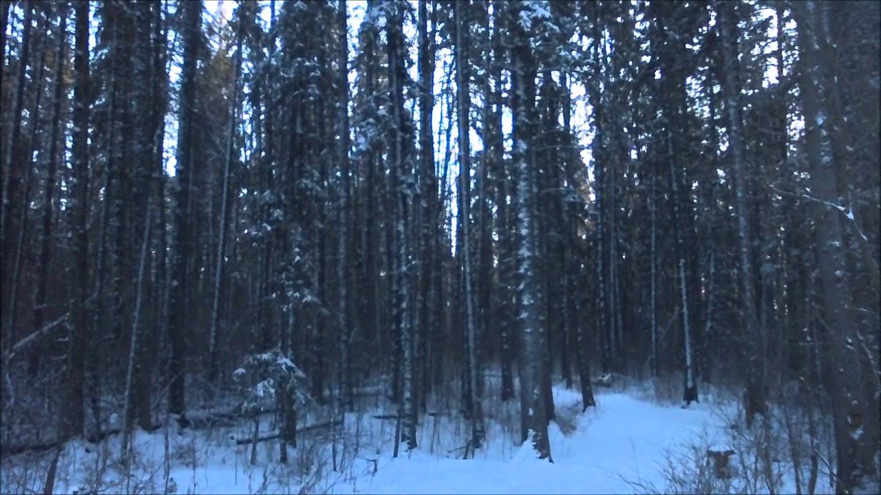 Scary noises from winter storm, east coast YouTube