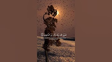 قرآن كريم بصوت جميل #قران_كريم #راحة_نفسية #quran #اكسبلور #قرآن