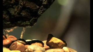 Relax Spa & Beauty Lounge http://www.relaxspaandbeauty.com/