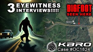 NEW Bigfoot Sighting in Kentucky Along the Western KY Parkway!!! #bigfoot #shorts #scary