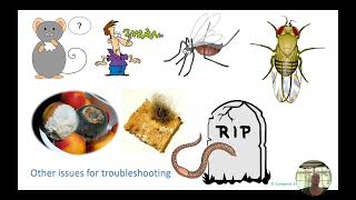 How To Troubleshoot Compost Problems