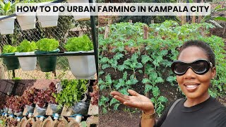 How to grow food in your compound or balcony at home ft KCCA Demonstration Farm-Kampala