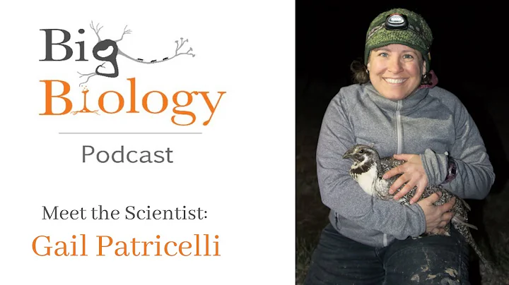 Meet the Scientist: Gail Patricelli
