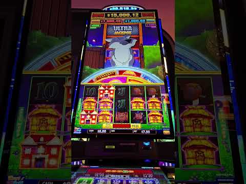 Método para ganar en Buffalo King! Juegos exitosos en casino online en Argentina con dinero real