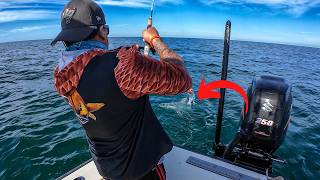 Offshore Adventure: One Hour of Non-Stop Fishing Action!