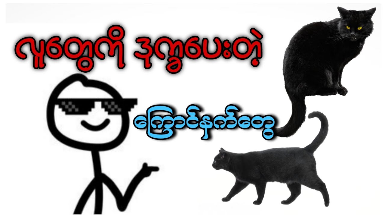 လူတွေကိုကံဆိုးစေတဲ့ကြောင်တွေ 