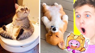 FUNNIEST ANIMALS ON TIK TOK! (LANKYBOX FOXY & BOXY REACT!)