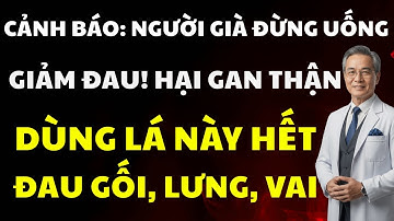 Người cao tuổi bị đau khớp gối, vai, lưng – Làm ngay 4 cách với lá trầu không, hiệu quả bất ngờ!