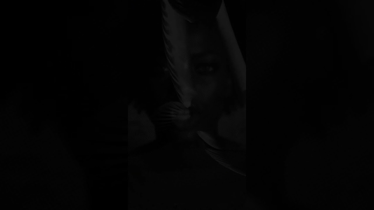 BARRACUDA NEW SINGLE