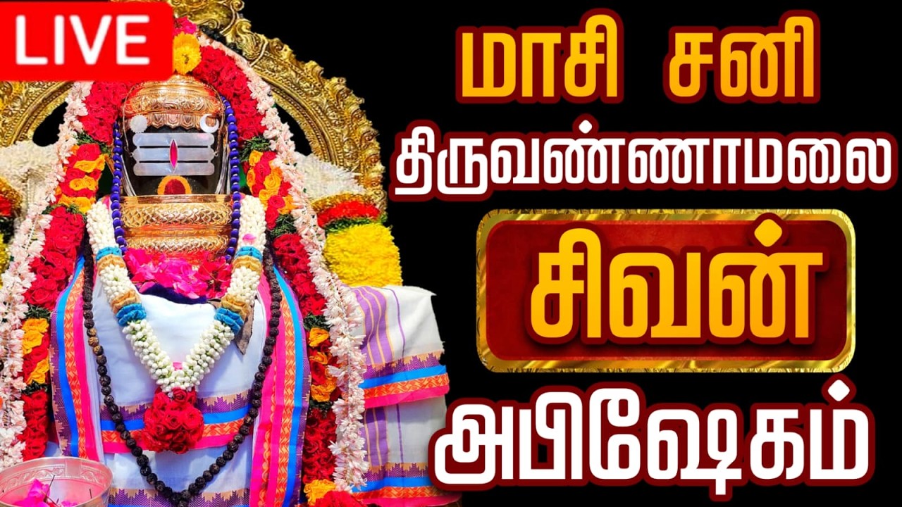 🔴LIVE திருவண்ணாமலை சிவன் மஹா அபிஷேக காட்சி பாருங்க! | Sivan Abhishekam #sivan  #abhishekam