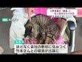 弁当のおかずを分けたあの日から7年…重機の音が響く建設会社で元野良猫が「課長」へ! 入札くじ5連続当選の幸運と社員を一つにした“和み”の功績
