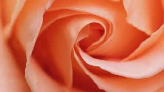 meditation music benefits editation music app meditation music no copyright screenshot 1