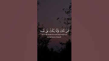 سورة الفتح آية ( 10 )