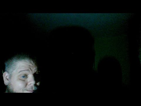 pythons for sale Late Night With Andrew (DEA)
