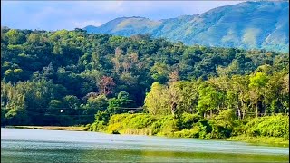 Khamosh Lab Hai Jhuki Hai Palkein | Abhi Mohbbat Nai Nai Hai | Mehndi Hasan sahab | #viral #ghazal 