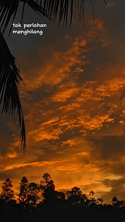 KERASNYA KOTA - DAVI SUMBING #trendingshorts #viral #sadvibes #trending #storywa #kerasnyakota