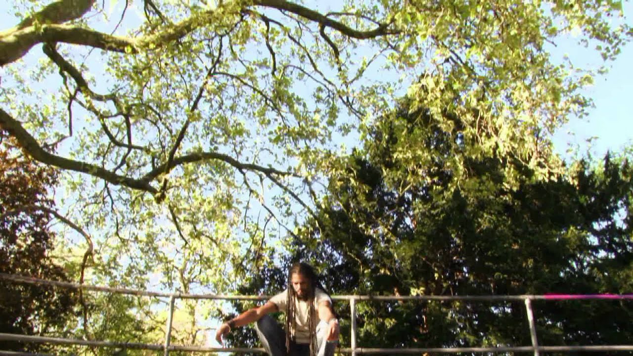 Watch Mangoseed- This Life (Official Video) on YouTube Watch Mangoseed- This Life (Official Video) on YouTube