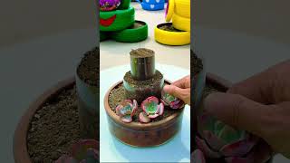 Creative DIY Plastic Bottle Pots for Succulents! ♻️🌱