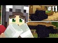 REACTION ALLA CASA PIENA DI OSSIDIANA! - Vanilla #11