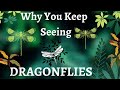 Why You Keep Seeing Dragonflies | Dragonflies Spiritual Meaning Spirit Animal & Spirit Totem