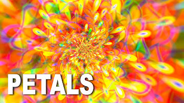 Create Petal Symmetry Photoshop Effects