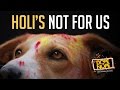 Keep Animals Safe this Holi