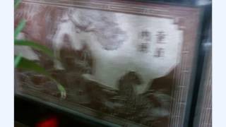 20120204-1鹽水武廟元宵節前傍晚熱鬧年節景觀氣氛與武廟文物陳列館蜂炮主題展_月津港夜景及人造大青蛙夜景_no-sound.wmv
