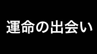 この出会いは正解だったのか、間違いだったのか。