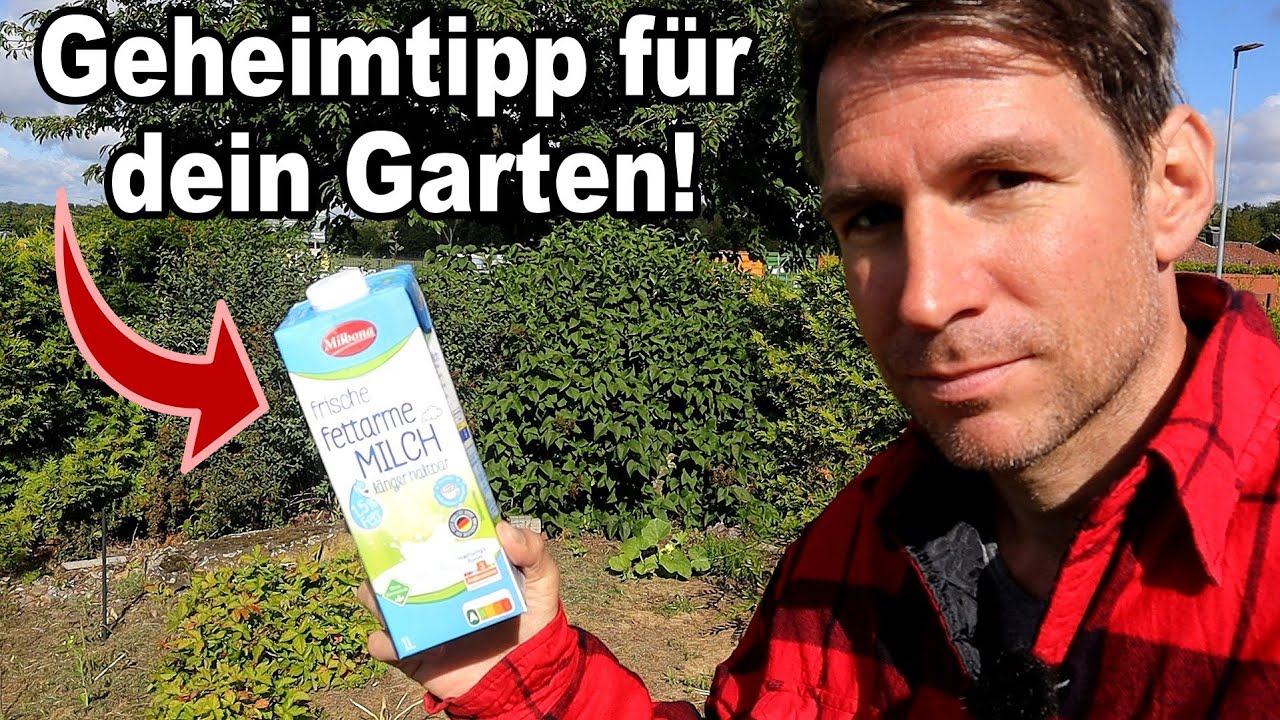 Warum Milch das geheime Wundermittel fr deinen Garten ist!