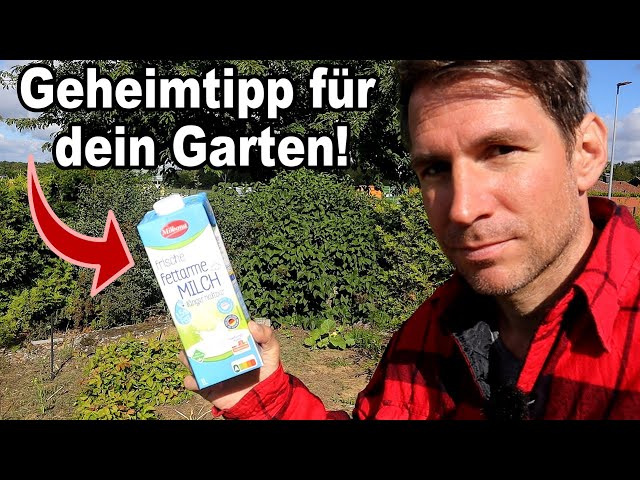Warum Milch das geheime Wundermittel fr deinen Garten ist! - YouTube