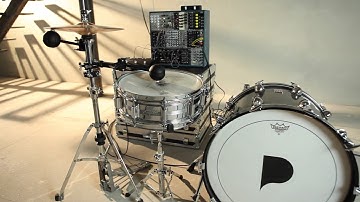 Polyend Perc meets modular