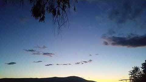 Cypress - Mystical Landscape (Video)