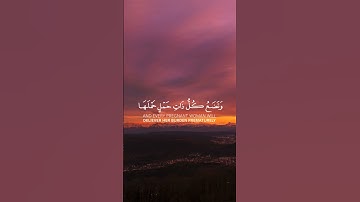 ياأيها الناس اتقوا ربكم||تلاوة خاشعة //بصوت القارئ صالح اليافعي ⏱️ثواني تريح الاعصاب💕🩶🌿